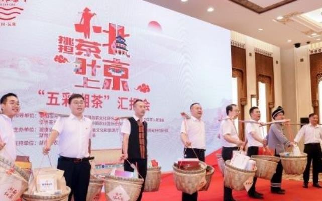 挑担茶叶上北京：新化红茶亮相人民大会堂