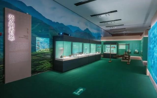 品铁观音之乡的茶文化，国家博物馆展“凤鸣于溪”