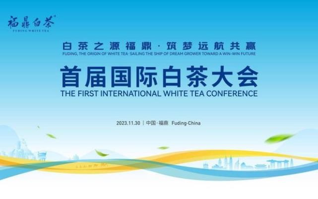 剑指世界！国号亮相首届国际白茶大会