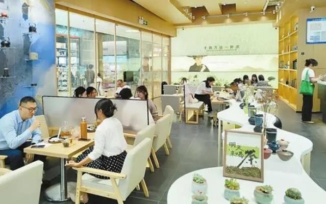 新中式茶馆“圈粉”年轻人 老茶正在吐新芽？