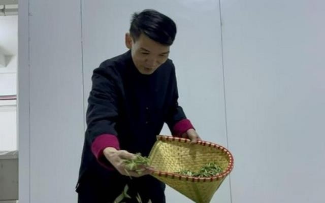 乡村追梦人丨张良芳：福鼎茶人扎根汝城，让“白毛贡茶”变“致富金叶”