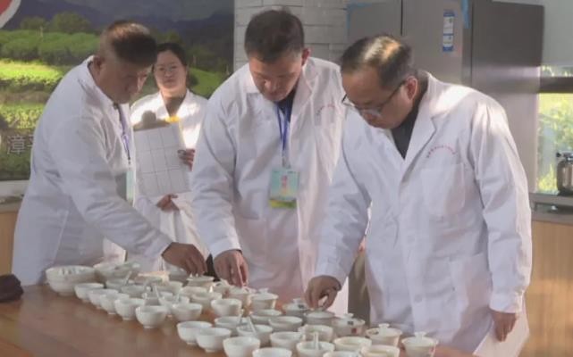 漳平市南洋镇：秋季魁茶争霸赛火热开“斗”