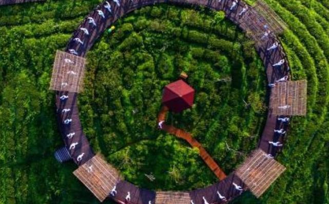 （乡村行·看振兴）福建大田：共享茶室“沏”出茶旅融合新路径