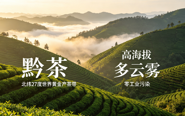  百度首页 登录 一席三县茶 满馆黔茶香！黔东南三县组团闯湾区“圳”相绽放