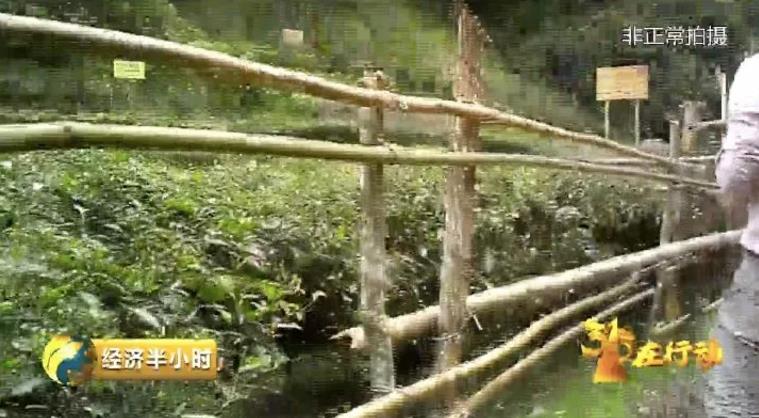 55b34aae19bc325a61efcb2fc8da8c00.jpg 55b34aae19bc325a61efcb2fc8da8c00.jpg