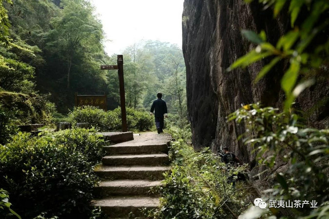 1e240e2c55c8b8c2530d04e9e88cfa23.jpg 1e240e2c55c8b8c2530d04e9e88cfa23.jpg