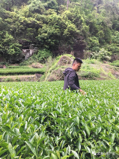 a45d3e93e3daef941fbf1f1420a4c644.jpg a45d3e93e3daef941fbf1f1420a4c644.jpg