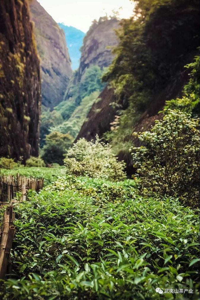 22f70d61ae7b140cd61b74f3b928b8c5.jpg 22f70d61ae7b140cd61b74f3b928b8c5.jpg