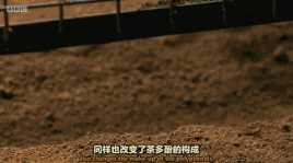 ad7f06a0ee2570eff40940dc416f2dae.gif