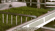 f1e18cea202d7436dba53d86941331c6.gif
