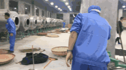 784cc39aa4e1983983886ba0108a74ba.gif