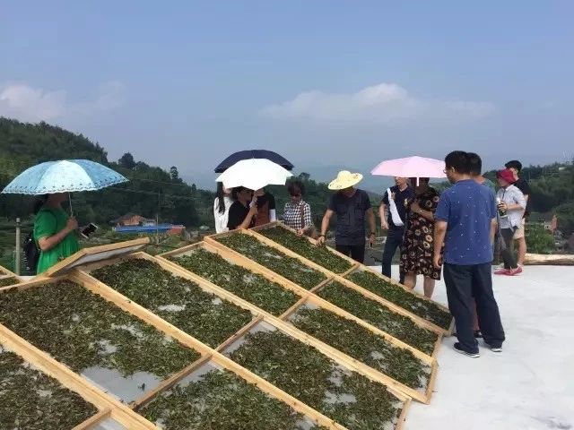 39b986ab4251c387fa200015113f8ea9.jpg 39b986ab4251c387fa200015113f8ea9.jpg