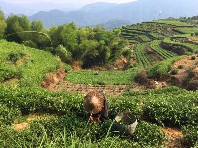 644608999a29e069f9ffe21cad7ecce4.jpg 644608999a29e069f9ffe21cad7ecce4.jpg