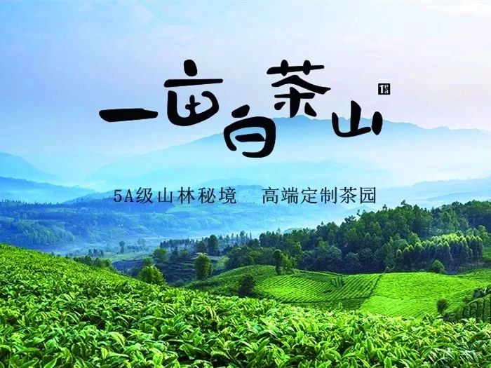 aa74152b83c304f719c1638b7a16f884.jpg aa74152b83c304f719c1638b7a16f884.jpg