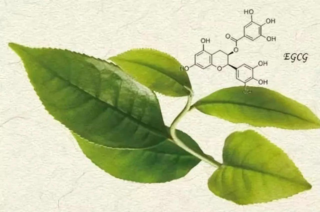 6f6e15040268d9d2fc0f61ab2599703c.jpg 6f6e15040268d9d2fc0f61ab2599703c.jpg