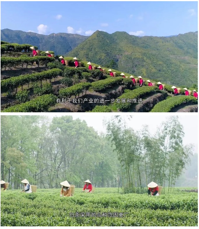 91156af7533be31115e7e9dda01c0e36.jpg 91156af7533be31115e7e9dda01c0e36.jpg