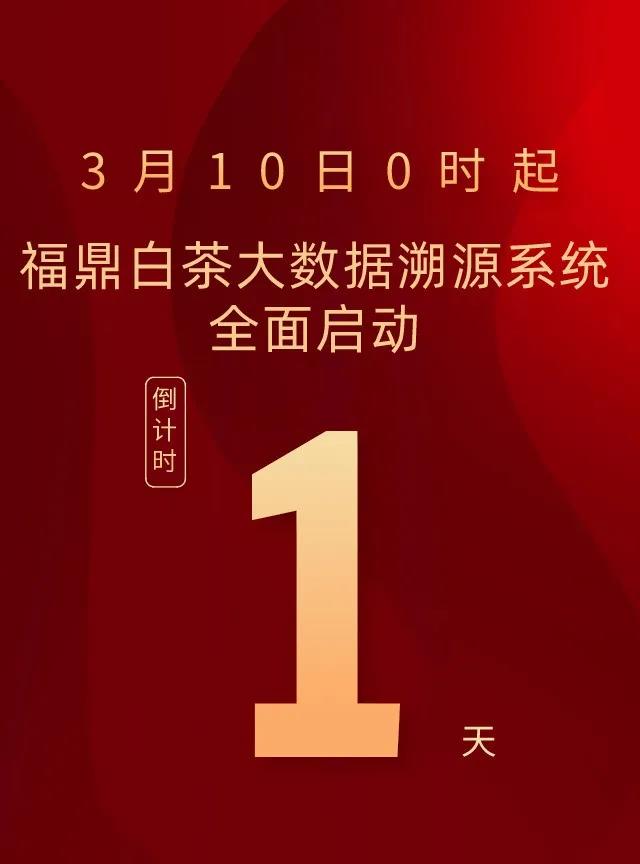 8b9d1ff33a3eae18264736873b328000.jpg