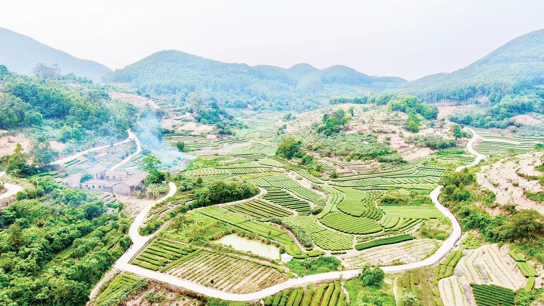 854bc24b7b2651d5a22ea2f5e7745a6c.jpg 854bc24b7b2651d5a22ea2f5e7745a6c.jpg