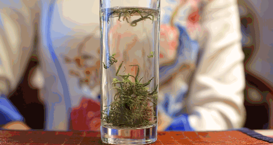 e0cc8f4d13cc4483d9a1e4e5520b636c.gif