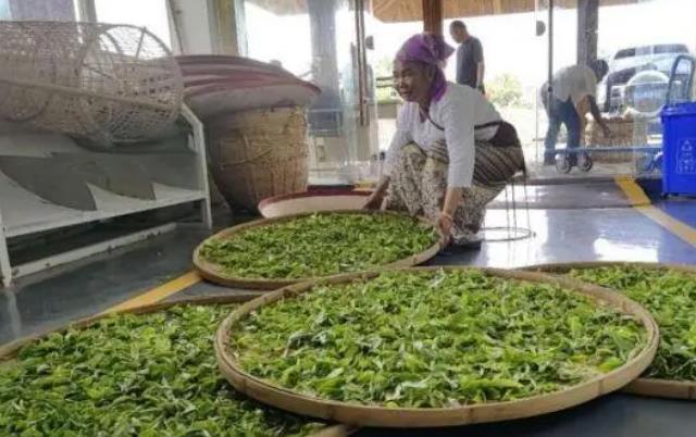 161afffd7bd0868f7d5949b403327bd3.jpg 161afffd7bd0868f7d5949b403327bd3.jpg