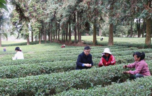 5f8d60781d405c22c33e3d2b7c21f69a.jpg 5f8d60781d405c22c33e3d2b7c21f69a.jpg