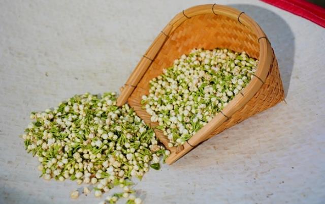 13de8739fb4389276163a766542d9b9a.jpg 13de8739fb4389276163a766542d9b9a.jpg