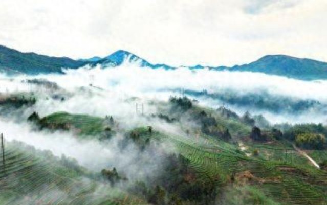 d614531f39cc5bfd1b394070ab54c5ca.jpg d614531f39cc5bfd1b394070ab54c5ca.jpg