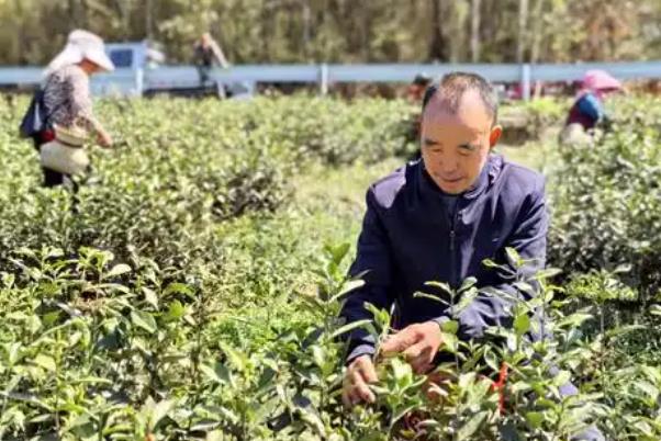 7d6ca5e104918497a5b449432d6bbecf.jpg 7d6ca5e104918497a5b449432d6bbecf.jpg